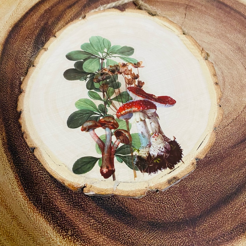 Cottage Core Mushroom Hanging